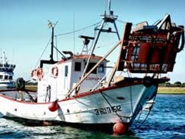 Axudas Conselleria Do Medio Rural E Do Mar