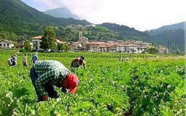 AXUDAS DESTINADAS AOS SECTORES AGRARIO, GANDEIRO, PESQUEIRO E DO TRANSPORTE GRAVEMENTE AFECTADOS POLA ALZA DOS COMBUSTIBLES NA PROVINCIA DA CORUÑA