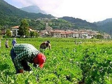 AXUDAS DESTINADAS AOS SECTORES AGRARIO, GANDEIRO, PESQUEIRO E DO TRANSPORTE GRAVEMENTE AFECTADOS POLA ALZA DOS COMBUSTIBLES NA PROVINCIA DA CORUÑA