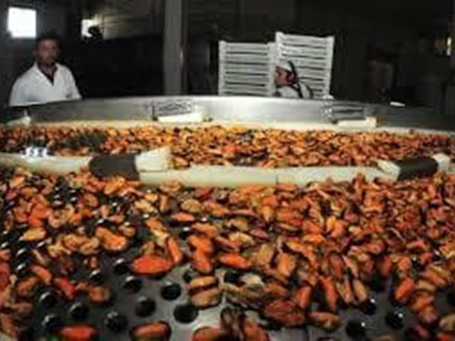 Ayudas A Cocederos De Mejillón Para Depuración De Aguas