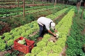 Ayudas A Inversiones En Transformacion Y Comercializacion De Productos Agrarios Y Forestales