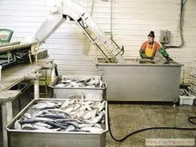 Ayudas A Inversiones En Transformación Y Comercialización De Productos Marinos, Marisqueo Y Acuicultura