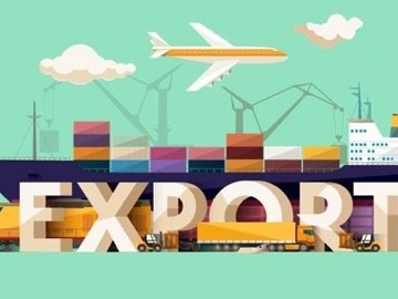 AYUDAS A LA INICIACIÓN Y CONSOLIDACIÓN DE LA EXPORTACIÓN 