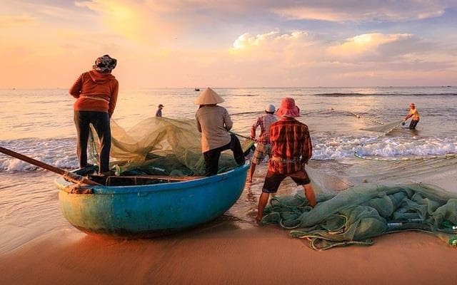 AYUDAS DESTINADAS A PYMES DE TRANSFORMACIÓN DE PRODUCTOS DE LA PESCA Y ACUICULTURA