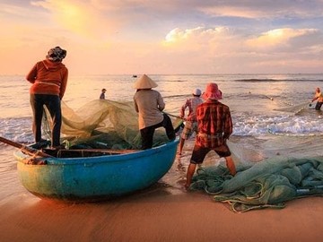 AYUDAS DESTINADAS A PYMES DE TRANSFORMACIÓN DE PRODUCTOS DE LA PESCA Y ACUICULTURA