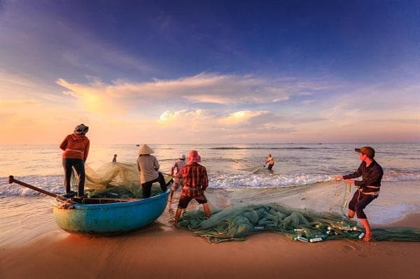 Ayudas Destinadas A Pymes Del Sector Transformador De Productos De La Pesca Y Acuicultura