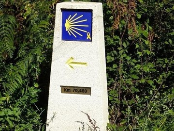 AYUDAS PARA ACTUACIONES DE MEJORA PAISAJÍSTICA Y DE EMBELLECIMIENTO DE BIENES Y RECURSOS QUE SE ENCUENTRAN EN EL CAMINO DE SANTIAGO