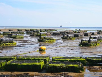 AYUDAS PARA INVERSIONES PRODUCTIVAS EN EL ÁMBITO DE LA ACUICULTURA