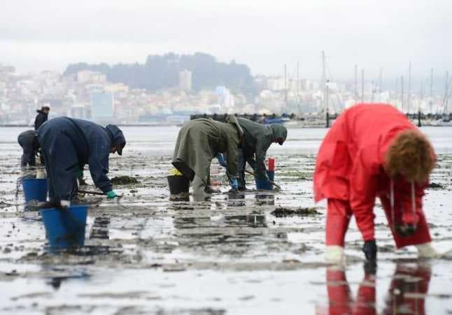 AYUDAS POR LA PARALIZACION TEMPORAL DE LA ACTIVIDAD DE MARISQUEO A PIE A CONSECUENCIA DEL COVID19- PE401I