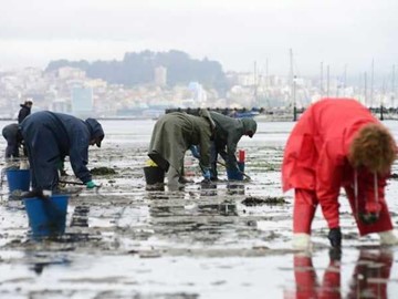 AYUDAS POR LA PARALIZACION TEMPORAL DE LA ACTIVIDAD DE MARISQUEO A PIE A CONSECUENCIA DEL COVID19- PE401I