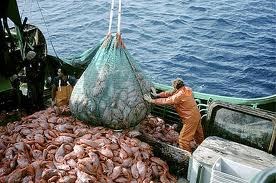 Convocadas Ayudas Para Inversiones En Los Sectores De Pesca Y Acuicultura