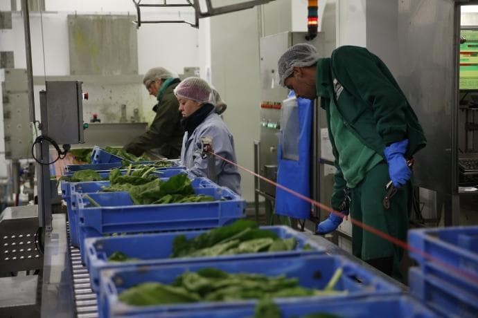 GALICIA RURAL EMPRENDE