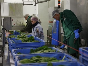 GALICIA RURAL EMPRENDE