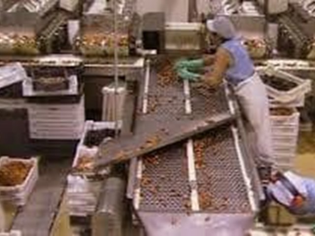 Subvención Para Establecimientos De Cocción De Mejillón