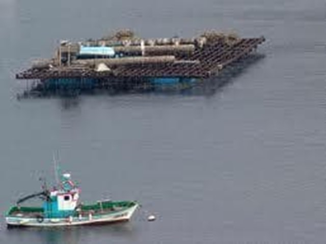 Subvenciones A Inversiones En El Sector De La Acuicultura