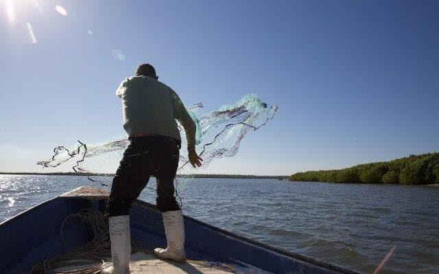 SUBVENCIONES COFRADIAS DE PESCADORES Y AGRUPACION DE MARISCADORAS