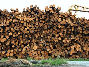 SUBVENCIONES DE VALORIZACIÓN Y A LA SEGUNDA TRANSFORMACIÓN  DE LAS PEQUEÑAS Y MEDIANAS EMPRESAS DE LA INDUSTRIA FORESTAL GALLEGA 