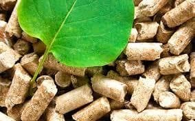 Subvenciones Para Proyectos De Equipamientos Térmicos De Biomasa